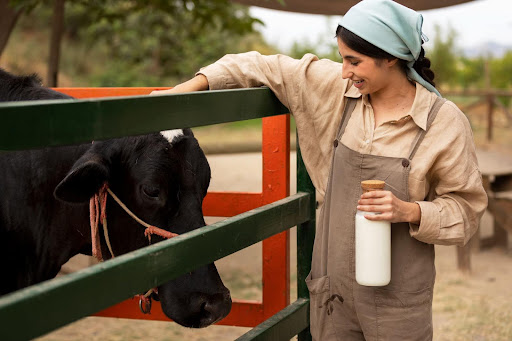 Dairy Cow Microbial