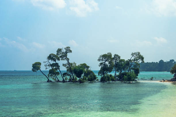 andaman tour package